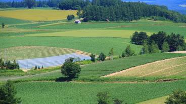 施設からの眺望 / 21