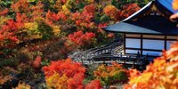 【石川】金沢観光でパワースポット巡り♪金沢近郊のおすすめ神社とお寺10選