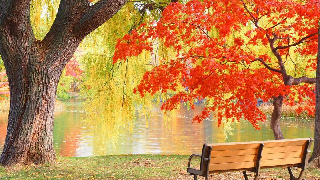 中島公園／菖蒲池 / 2