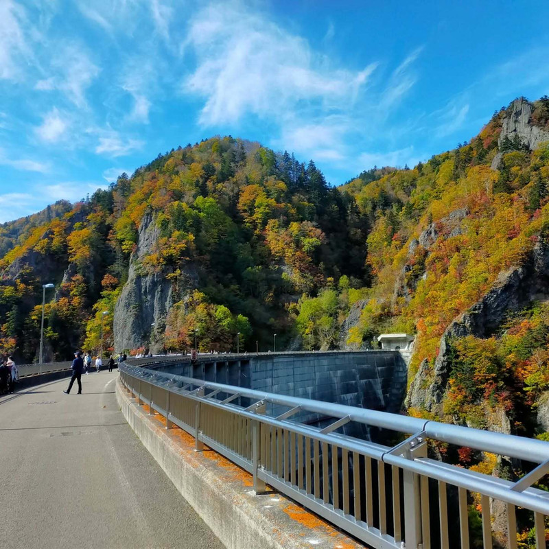 milkyandchyocoさんの写真 / 1