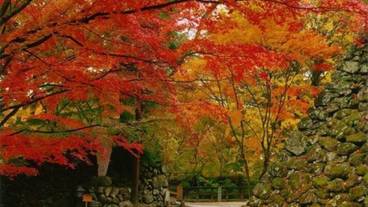 観光スポット / 2