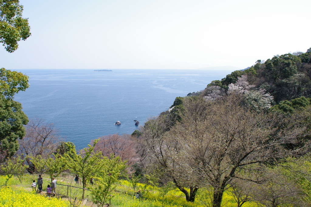 「ACAO LAND ART PARK」ってこんなところ！3673602