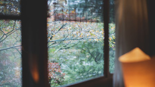 デラックスルーム トイレ・シャワールーム付 天楽 (禁煙)