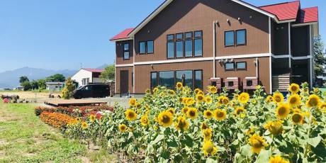 B＆B Plus+ シューティングスター