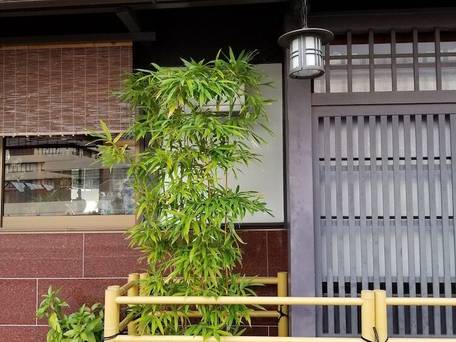 旅館 さわや本店 / 5