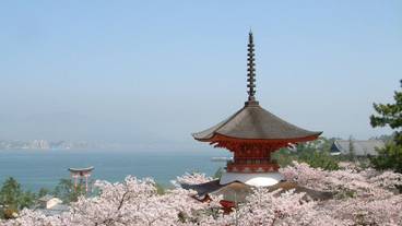 施設からの眺望 / 25