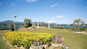 ガーデン ビュー / 37