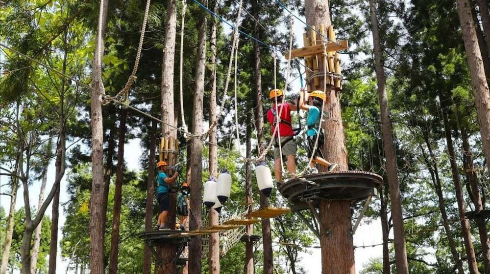 ロープ コース (チーム ビルディング用)