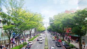 観光スポット / 25