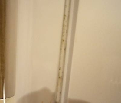 フェニックスパークホテル / 2