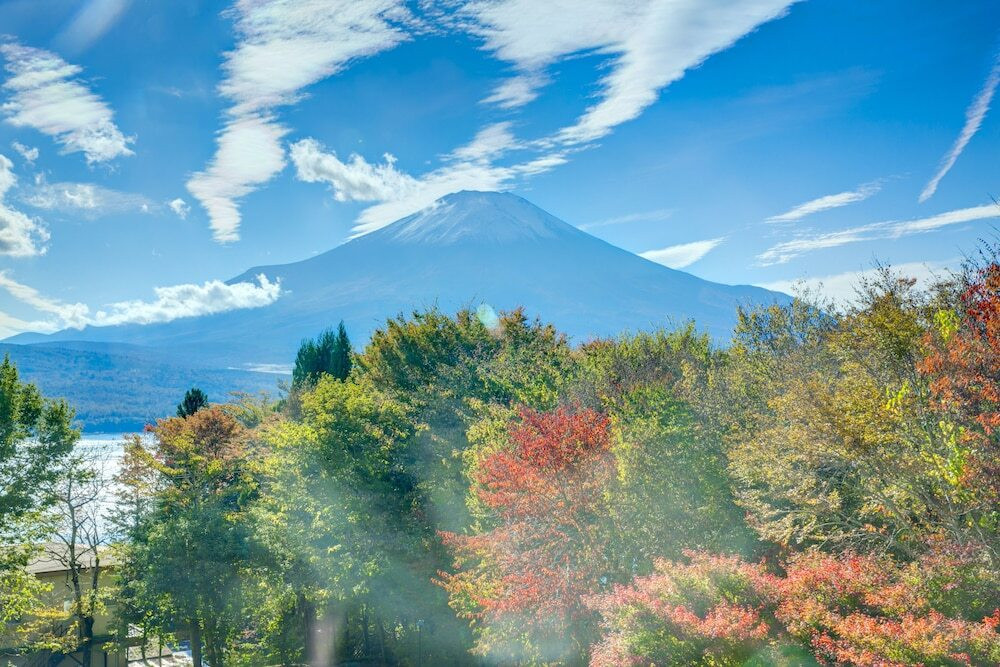 マウンテン ビュー