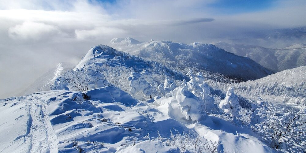 施設からの眺望