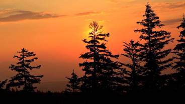 施設からの眺望 / 30