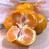 みかん問屋(有)石澤商店（ミカンドンヤイシザワショウテン）