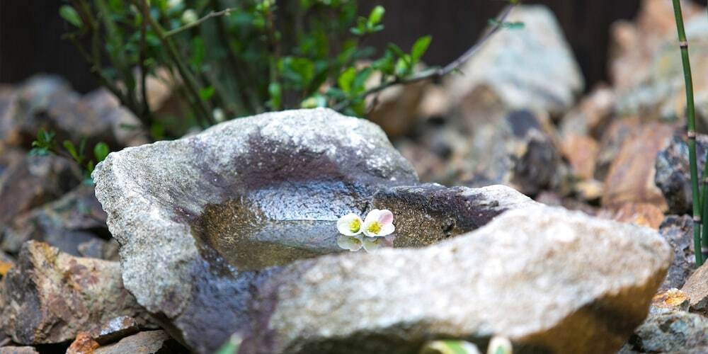 部屋からの景観