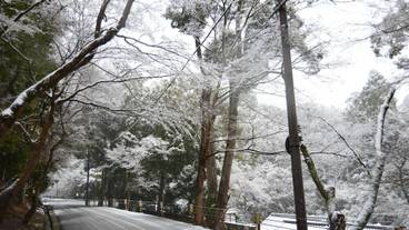 施設の敷地 / 23