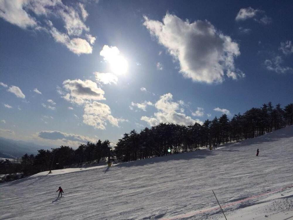 スノー スポーツとスキー