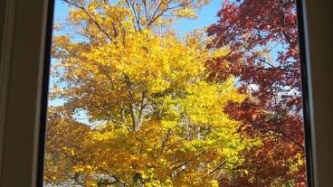 施設からの眺望 / 14