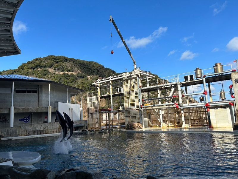 「城崎マリンワールド」のアシカ・イルカショー / 2