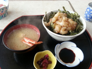 「活魚 ふじ」料理 741854 もさえび丼　1500円