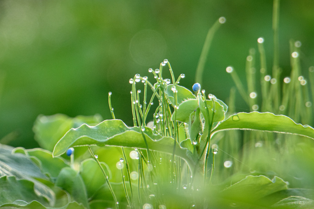 極上のホテルステイ＆スパで、心と身体に潤いを♩3728924