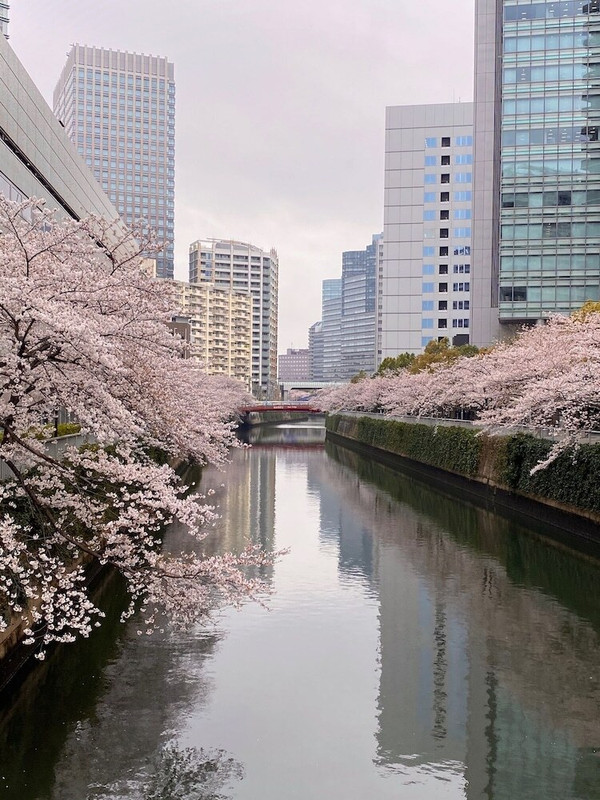 ウォーター ビュー