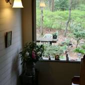 穂高温泉郷 メープル リーフ（長野県 ペンション） / 2