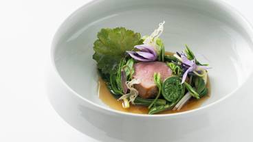 食事・飲み物 / 19