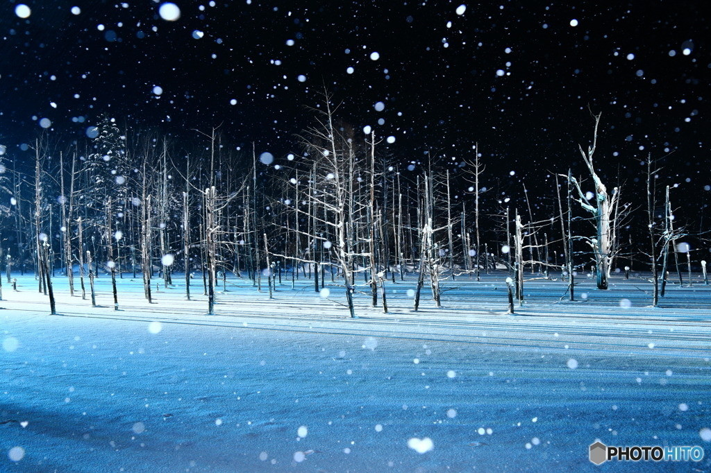 冬にだけ出会える 日本の絶景 雪景色18選 Icotto イコット