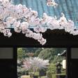 葛城北の丸