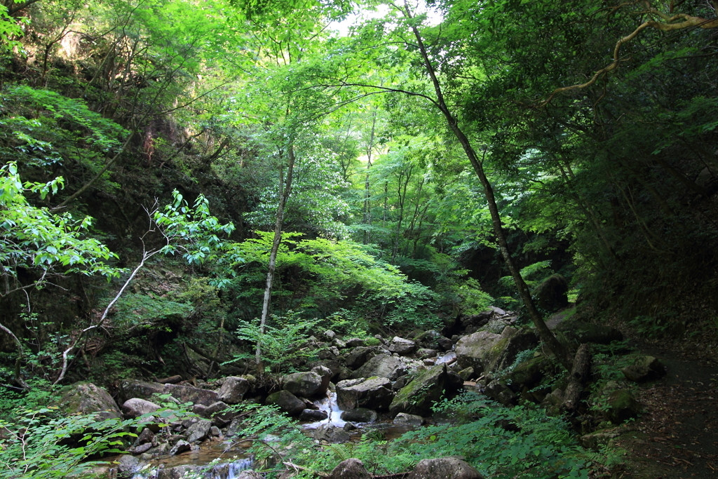 広島・内陸エリアのホテル3915964