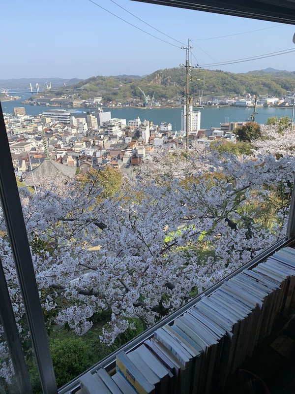 施設からの眺望