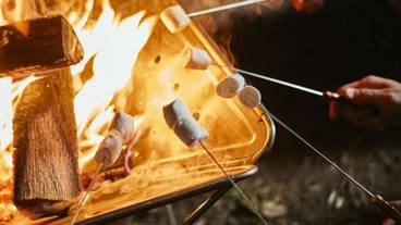 テラス / パティオ / 37