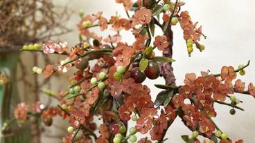 ボールルーム / 21