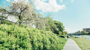 施設からの眺望 / 14