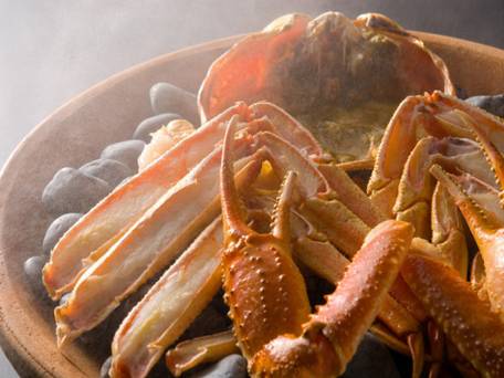 みやこわすれの宿 こおろぎ楼 / 2