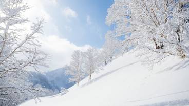 スキー ヒル / 1