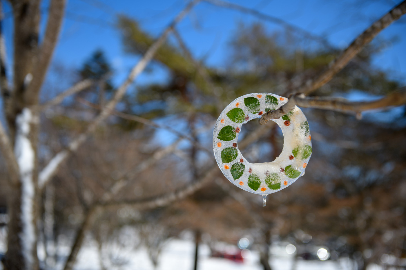 氷のリース・清泉寮の冬（山梨県）