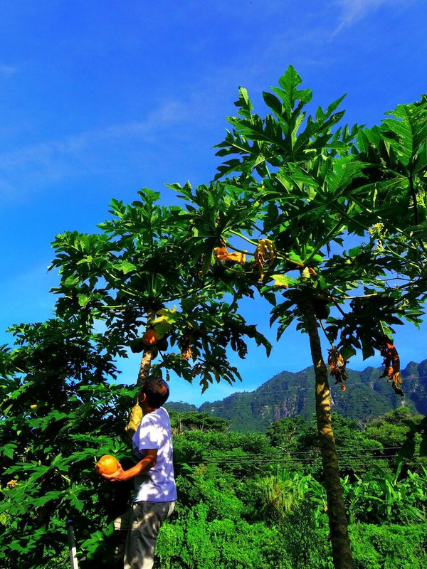 施設からの眺望