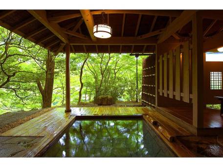 箱根「四季の湯座敷」武蔵野別館 / 1