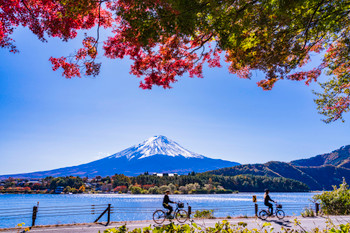 (Yamanashi) Lake Kawaguchi in autumn leaves, people enjoying lakeside cycling and Mt. Fuji