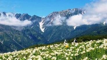 マウンテン ビュー / 12