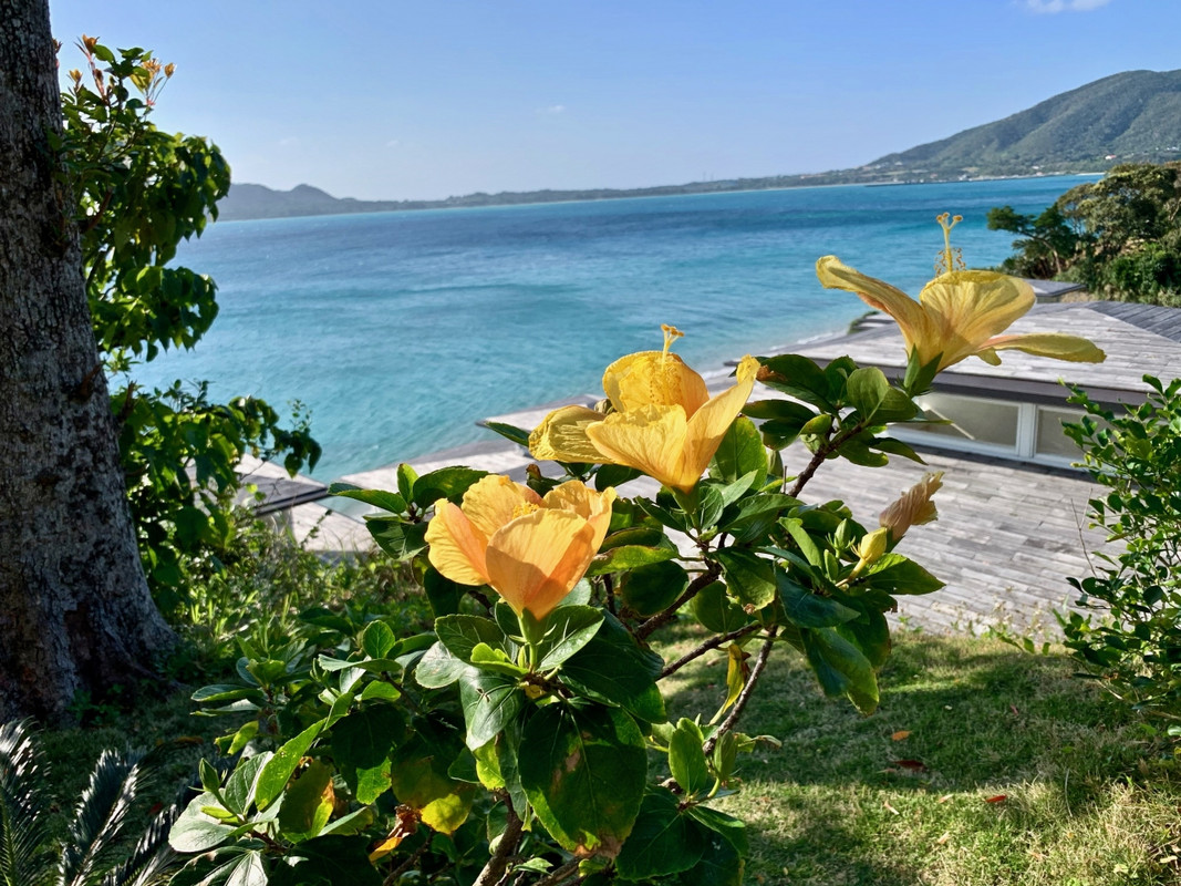 レセプション脇からヴィラ方向を望む景色