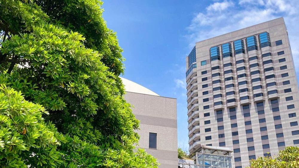 大人気パティスリーの「特製ショートケーキ」でラグジュアリーな推し活を♪3655166