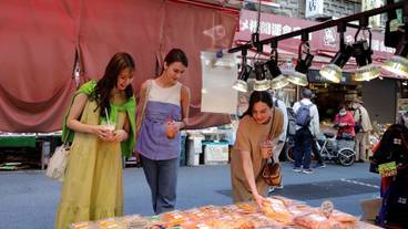 エコツアー / 12