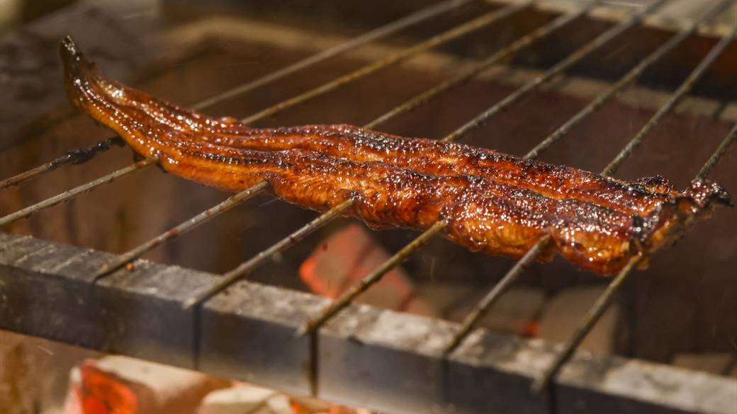 うなぎ四代目菊川 / 3