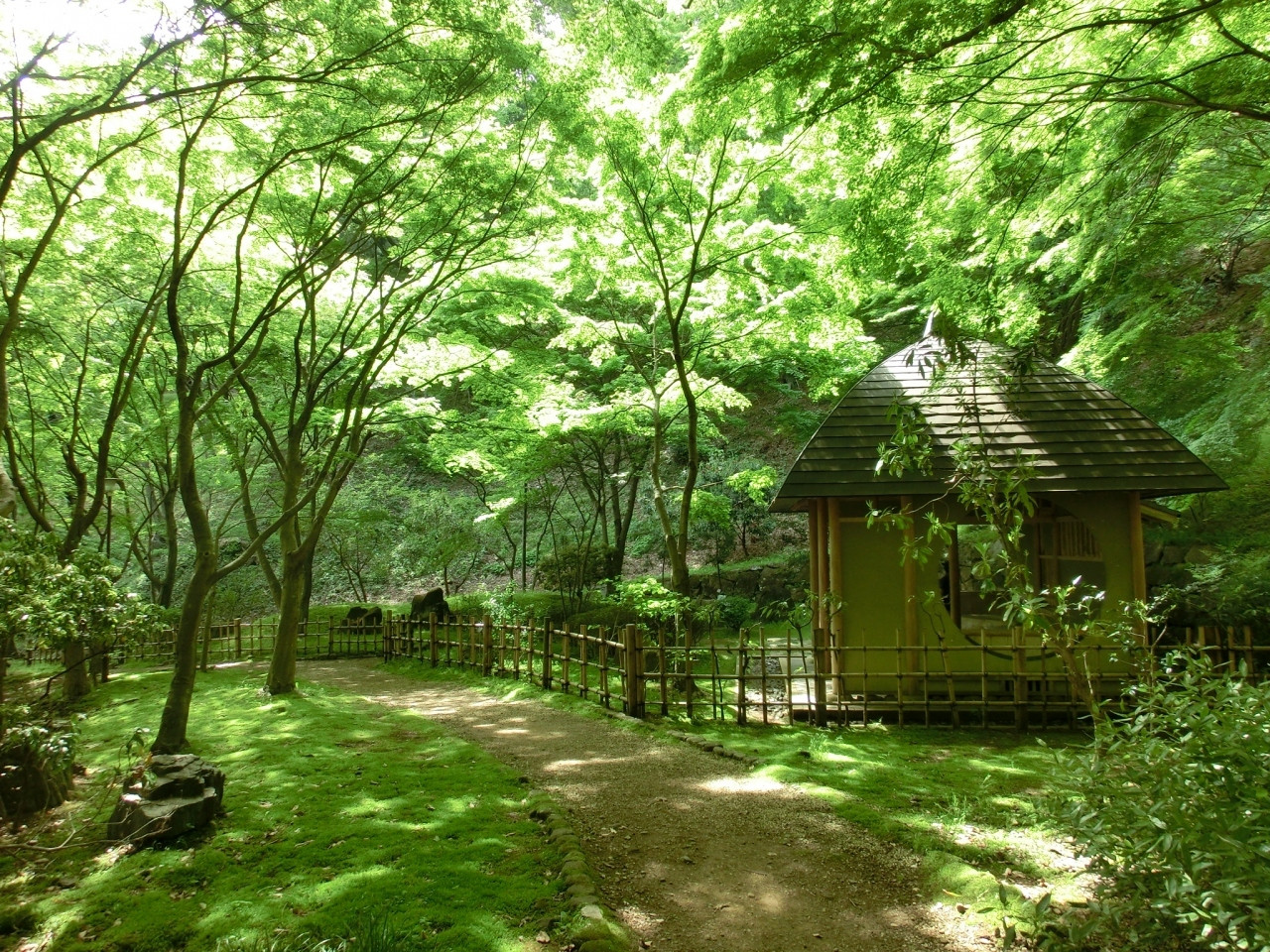 ロマンスカーでアクセス楽々「厚木/飯山温泉・七沢温泉」4069613