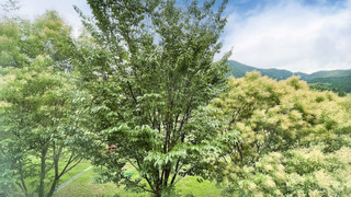 スタンダード和洋室（喫煙）