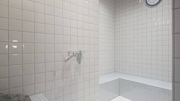 スチームサウナ / 2