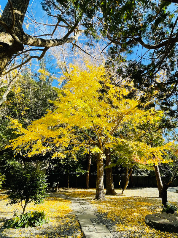 junsuk0804さんの写真 / 2